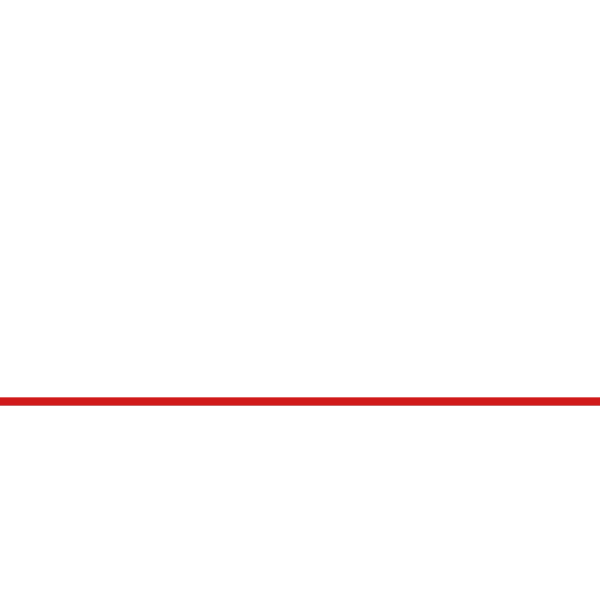 L. A. Carlesso